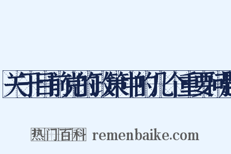 关于目前党的政策中的几个重要问题是什么意思的图片
